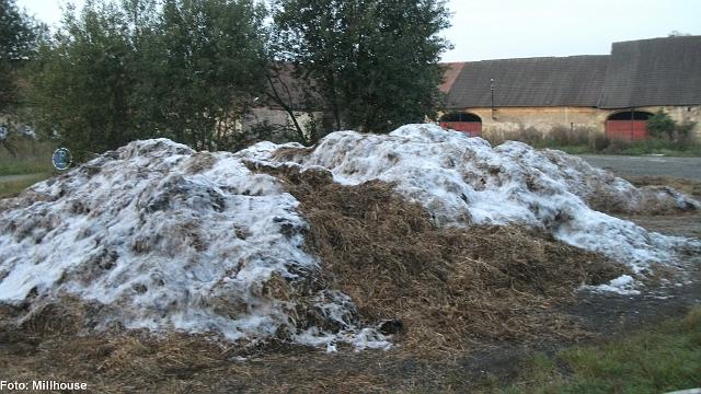 foto76.jpg - Vyvezen slma byla pokryta pnou